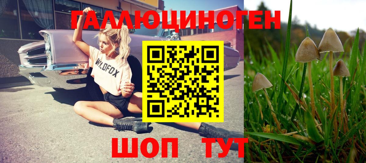 цены   Вход с VPN  Реж  Псилоцибиновые грибы мухоморы 
